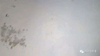 水质涂料治理小广告 效果真的好吗？